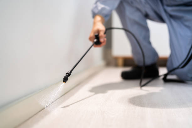 Professional Pest Control in Oswego, KS