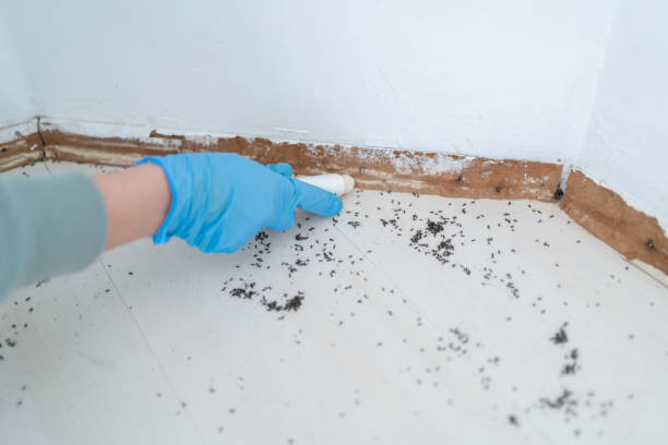 Best Exterminator Services  in Oswego, KS