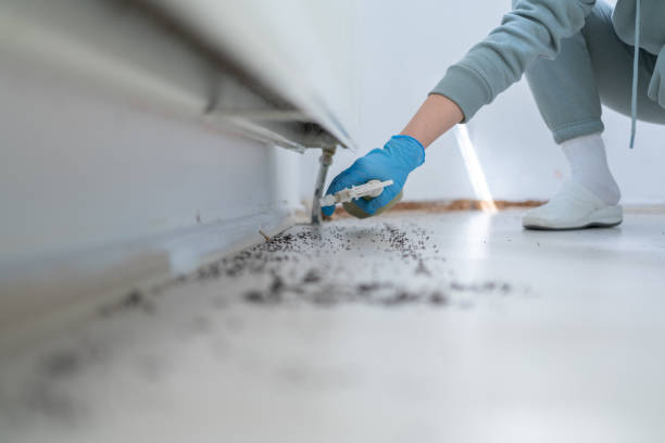 Best Mosquito Control Services  in Oswego, KS