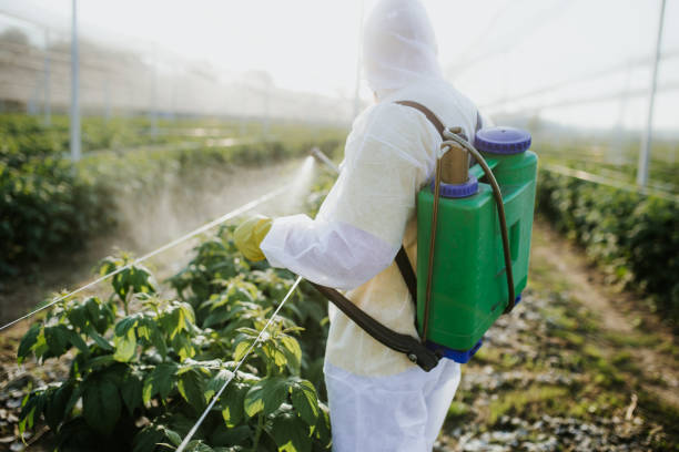 Best Wasp Removal Services  in Oswego, KS